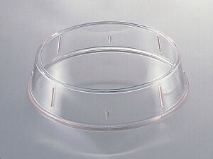 Mg(20cm`23cmp) R GebN W-22