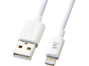 ���C�g�j���O�P�[�u�� �z���C�g�E1m �T�����T�v���C KB-IPLT10K3W