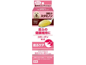 `CXvX X^~m ӃPA40g A[Xybg