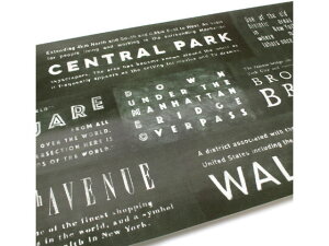 mt CNV[g New Type ubN{[hj[[N 270×900 J MTCAR0058