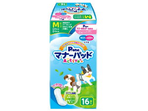 j̎q&̎qp}i[pbhActive M 16 q