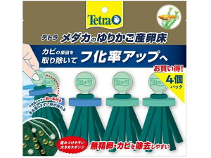 eg_Ĵ肩Y4pbN XyNguYWp