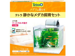 eg Âȃ_JZbgSF-17KF XyNguYWp