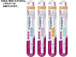 V~eNg PAnuVɍ׃VL[уCh炩 A[X