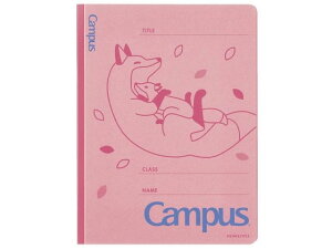 LpX tbgt@CA4c(Aj}) Lcl RN t-CA10-5