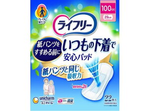 Ct[ ̉ňSpbh 100cc 22 jE`[