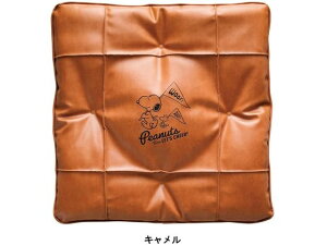 Xk[s[`A2 45×45cm (ȓp) CA {tH[ 5711-06CA