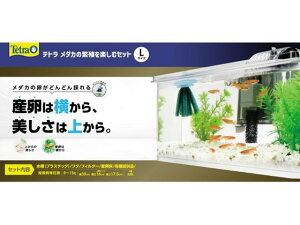 eg _J̔ɐByރZbg L XyNguYWp