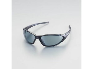 ی߂ (X[N) GXR EA800AR-124