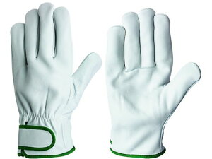 {v CG[725 3L V 1589129