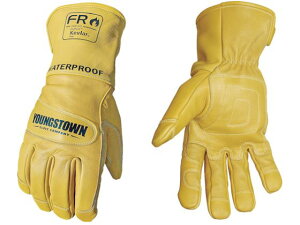 YOUNGST/v FREH[^[v[tU[ Pu[(R) M YOUNGSTOWN 1146945