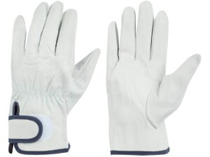 \v }WbNt L aR[|[V 8571729