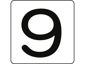 XebJ[ 9 HS-9(5P) 80×80mm 5g A~ {Ώ\ 8248163