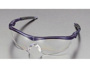 ی߂ NA[ElCr[ GXR EA800CH-2