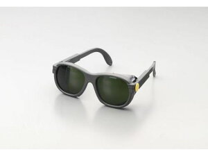 Etnڗp߂ #5 GXR EA800G