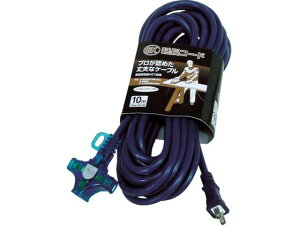 SKR[h P100V 10m  n^~ebh 3704327