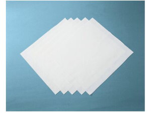 ICV[g [+|GXe 525mm×500mm(120) {NX 3255891