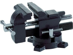 ]toCX(pVtg)yƗp 100mm gXRR 7623267