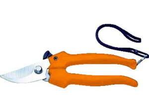 P[u͂ 182mm X^_[h^Cv gXRR 3842487