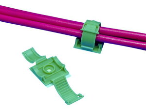 phECbg/Œ N`[ Se[vt ezO[ 100 phECbgR[|[V 3908046