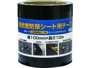 xhV[gpe[v CmxbNX 1954267