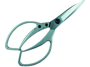 EG �A���~�_�C�L���X�g�A����DX ��i 8184409