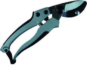 EG A~_CLXg Ar^ i 8184410