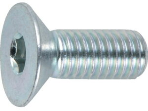 ZptM{gO  SlW M6×12 21{ gXRR 3002225