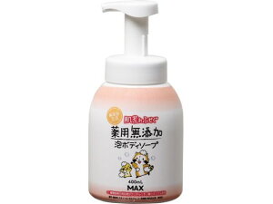 rӂpYA{fB\[v { 400mL }bNX