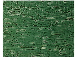 EBM/ubtFEH[}[ 1^2TCYp pM Î ] 1029950