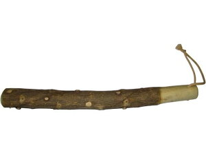 EBM/񂵂傤(Y)肱_  30cm ] 3085210