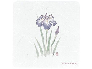 aR[X^[ lG p^ 50 WCO-K4  A[ebN 7019500