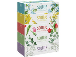 XRbeB eBV[ t[{bNX 250g 5 NVA 41331