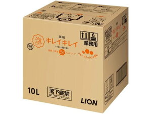 LCLCpAnh\[v t[c~bNX̍ 10L CI