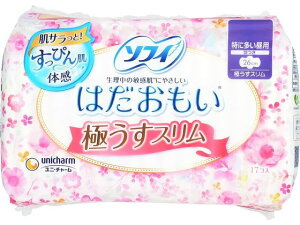 \tB ͂ɂX260H 17 jE`[