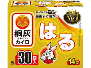 ˊDJC ͂ 30 ѐ