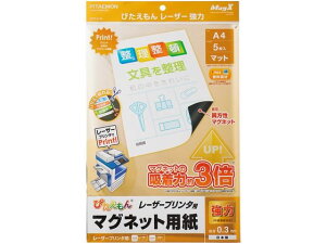 ҂񃌁[U[ A4 5 }OGbNX MSPLZ-A4
