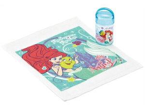 R P[Xtڂ AG XP[^[ OA5AG