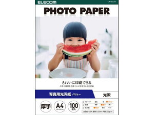 ʐ^p  A4 100 GR EJK-VLA4100