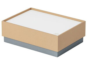 ココバコ お道具箱タイプ ベージュ ナカバヤシ KBK-401-BE