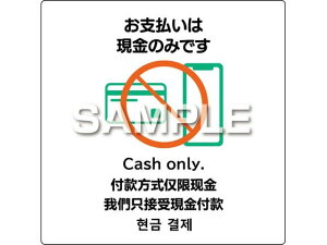 s^OXebJ[ x͌̂ 6 qTS KLS094