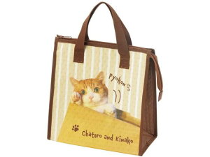 sDzۗobO YƂȂ XP[^[ FBC1