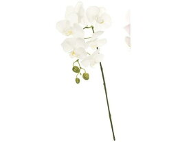 造花 カレンファレノ ホワイト 東京堂 FM003663-001