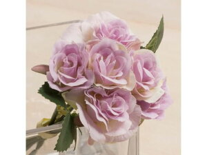 YDM/ ~j[Yoh p[vO[ YDMilfBXvC~[WAj FB2420-PUG