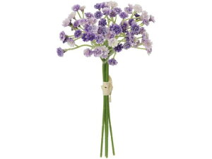 YDM/ JX~oh×4 zCgx_[ YDMilfBXvC~[WAj FB-2644W/L