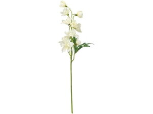  TUftBjE N[zCg #1 CR  FM002074-001