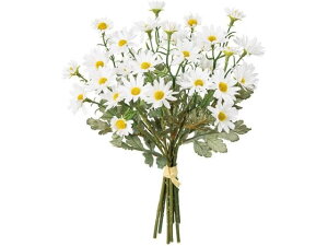  n~Of[W[oh zCg #1 WHITE  FM008316-001