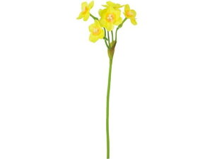 YDM/ V[g CG[ YDMilfBXvC~[WAj FS-5421Y