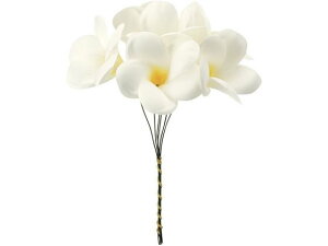  JvAsbN #37 CREAM N[  FM000973-037