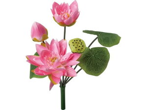 YDM/ [^XubV sN YDMilfBXvC~[WAj FB-2628P